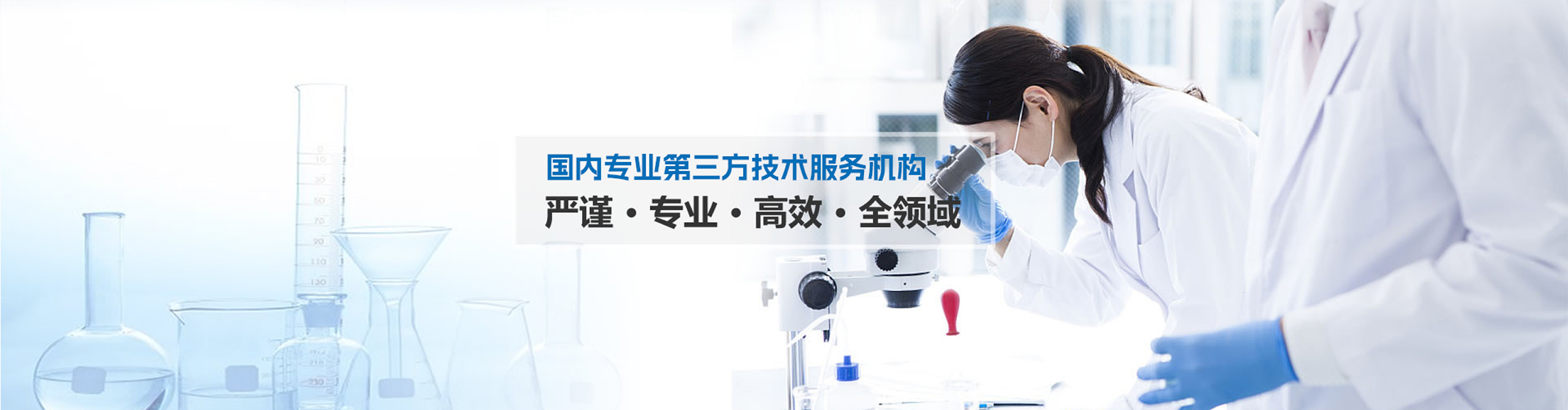 深圳市中瑞联电子有限公司